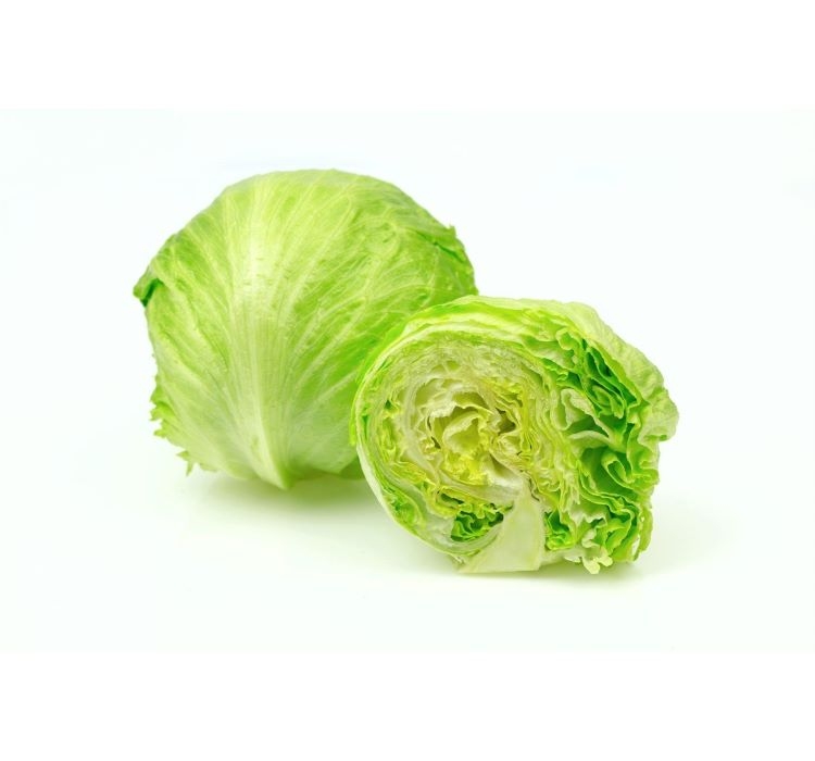 MARUL%20İCEBERG%20(%20ÇOKLU%20TOHUM%20)%20-%203%20Gram