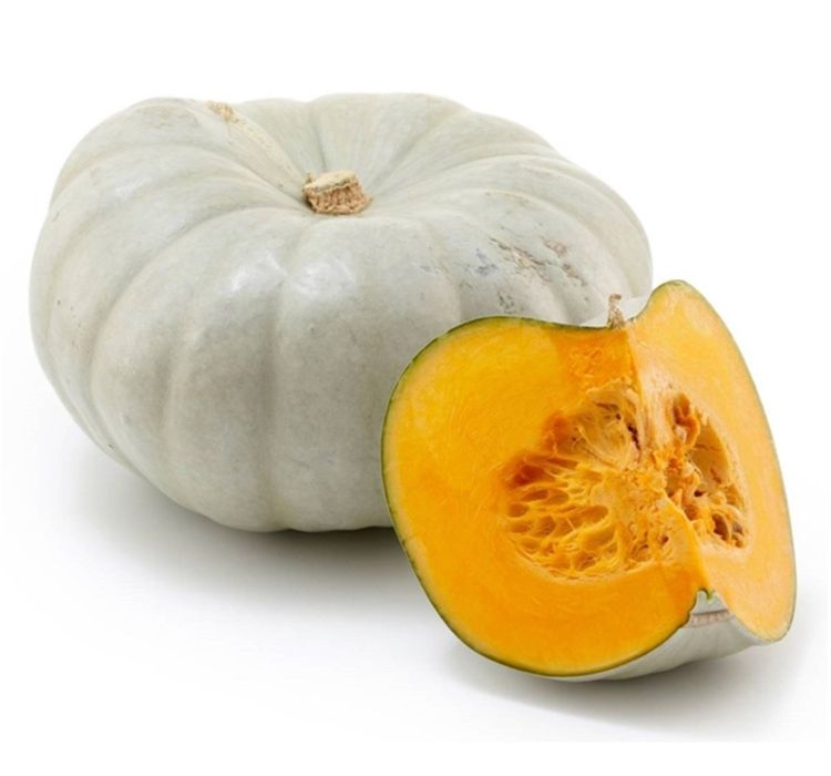 KABAK%20KIŞ%20(%20ÇOKLU%20TOHUM%20)%20-%2010%20Gram