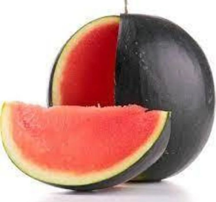 KARPUZ%20HALEP%20KARASI%20(%20ÇOKLU%20TOHUM%20)%20-%2010%20Gram