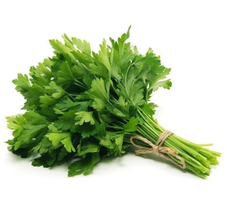 MAYDANOZ%20İRİ%20YAPRAK%20(%20ÇOKLU%20TOHUM%20)%20-%2010%20Gram