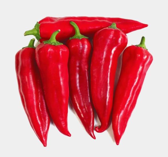 BİBER MARAŞ  ( ÇOKLU TOHUM ) - 5 Gram